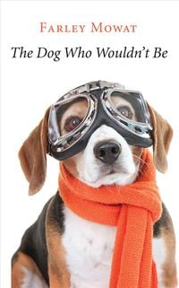 Produktbild: The Dog Who Wouldn't Be