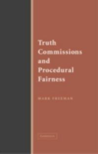 Produktbild: Truth Commissions and Procedural Fairness