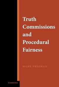 Produktbild: Truth Commissions and Procedural Fairness