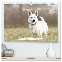Produktbild: Berger Blanc Suisse - Weggef&auml;hrten auf 4 Pfoten (hochwertiger Premium Wandkalender 2026 DIN A2 quer), Kunstdruck in Hochglanz