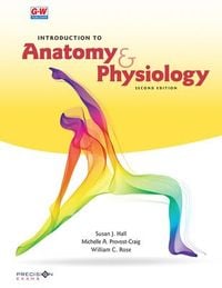 Produktbild: Introduction to Anatomy & Physiology