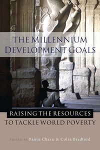 Produktbild: The Millennium Development Goals