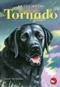 Produktbild: Tornado