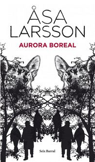 Produktbild: Aurora boreal