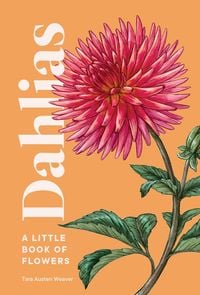 Produktbild: Dahlias