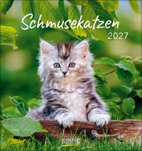 Produktbild Schmusekatzen 2027