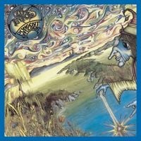 Produktbild: Pungent Effulgent (2020 Ed Wynne Rem.Black LP)