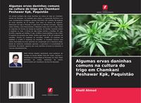 Produktbild: Algumas ervas daninhas comuns na cultura do trigo em Chamkani Peshawar Kpk, Paquist&atilde;o
