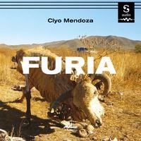 Produktbild: Furia