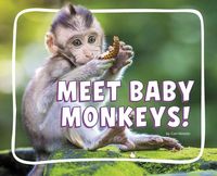 Produktbild: Meet Baby Monkeys!