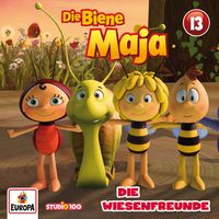Produktbild: Folge 13: Die Wiesenfreunde (CGI)
