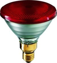Produktbild: Philips Infrarotlampe E27 150W (&Oslash; x L) 121mm x 136mm 230V 1St.