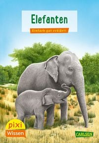 Bild vom Artikel Pixi Wissen 18: Elefanten vom Autor Hanna Sörensen