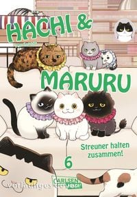Produktbild: Hachi & Maruru &ndash; Streuner halten zusammen! 6