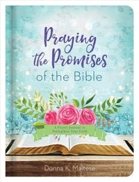 Produktbild: Praying The Promises Of The Bi