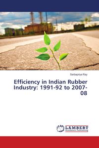 Produktbild: Efficiency in Indian Rubber Industry: 1991-92 to 2007-08
