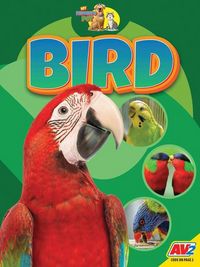 Produktbild: Bird