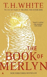 Produktbild: The Book of Merlyn