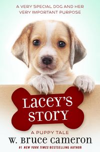 Produktbild: Lacey's Story