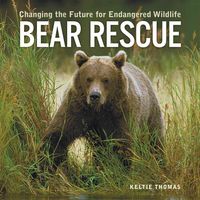 Produktbild: Bear Rescue