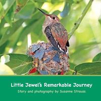 Produktbild: Little Jewel's Remarkable Journey
