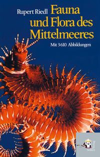 Produktbild: Fauna und Flora des Mittelmeeres