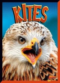 Produktbild: Kites