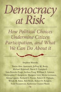 Produktbild: Democracy at Risk