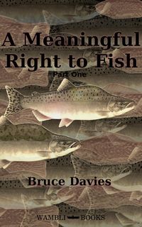 Produktbild: A Meaningful Right to Fish Part One