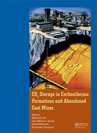 Produktbild: CO2 Storage in Carboniferous Formations and Abandoned Coal Mines
