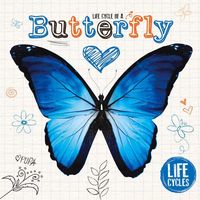 Produktbild: Life Cycle of a Butterfly