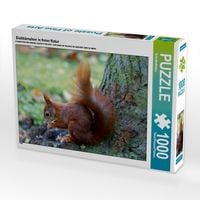 Produktbild: CALVENDO Puzzle Eichh&ouml;rnchen in freier Natur | 1000 Teile Lege-Gr&ouml;&szlig;e 64x48cm Foto-Puzzle f&uuml;r gl&uuml;ckliche Stunden