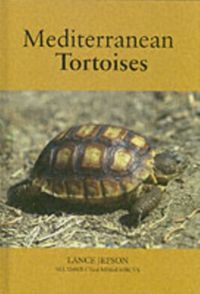 Produktbild: Jepson, L: Mediterranean Tortoises