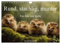 Produktbild: Rund, stachlig, munter - Ein Jahr mit Igeln (Wandkalender 2026 DIN A4 quer), CALVENDO Monatskalender