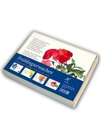 Produktbild: Geschenkbox Fr&uuml;hlingserwachen