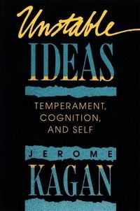 Produktbild: Unstable Ideas