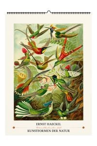 Produktbild: Ernst Haeckel. Kunstformen der Natur. Wandkalender 2027