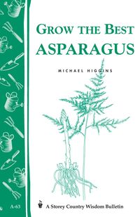 Bild vom Artikel Grow the Best Asparagus vom Autor Michael Higgins