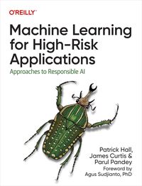 Produktbild: Machine Learning for High-Risk Applications