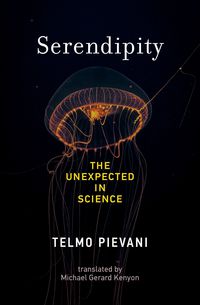 Produktbild: Serendipity