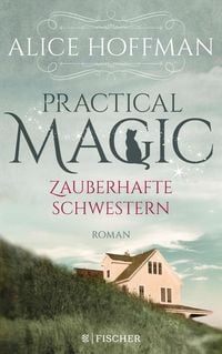 Produktbild: Practical Magic. Zauberhafte Schwestern