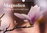 Produktbild: Magnolien - Eleganz in weiss und rosa (Wandkalender 2022 DIN A4 quer)