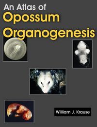 Produktbild: An Atlas of Opossum Organogenesis