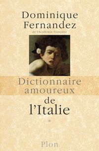 Produktbild: Dictionnaire amoureux de l'Italie