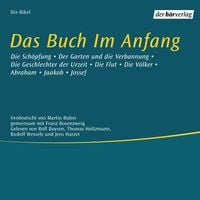Produktbild: Das Buch im Anfang