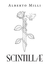 Produktbild: Scintill&aelig;