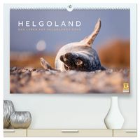 Produktbild: Helgoland - Das Leben auf der D&uuml;ne Helgolands (hochwertiger Premium Wandkalender 2027 DIN A2 quer), Kunstdruck in Hochglanz