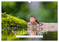 Produktbild: Sperlingsv&ouml;gel - Die kleinen S&auml;nger mit den gro&szlig;en Stimmen (Wandkalender 2026 DIN A3 quer), CALVENDO Monatskalender