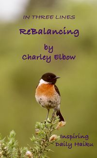 Produktbild: ReBalancing: Inspiring Daily Haiku (In Three Lines)