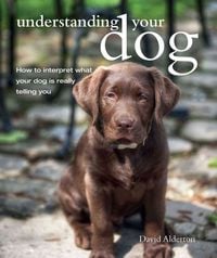 Produktbild: Understanding Your Dog